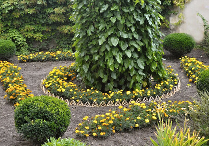 Herb garden below the first courtyard with apple tree and weeping mulberry