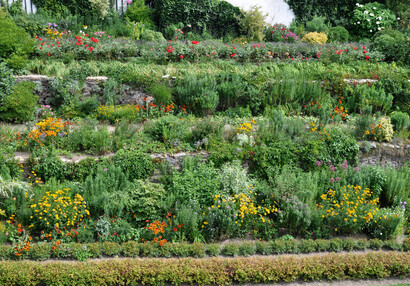 Summer terraces below the access bridge