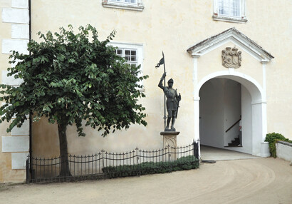 Silver linden in the first courtyard