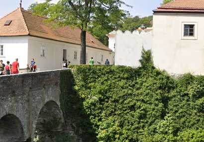 Gleditschie und Efeu am Beginn der Eingangsbrücke im ersten Burggraben